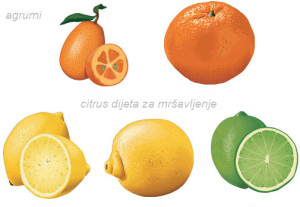 citrus dijeta iskustva