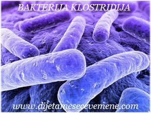 bakterija klostridija kako se prenosi
