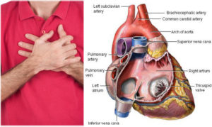 aritmija srca simptomi