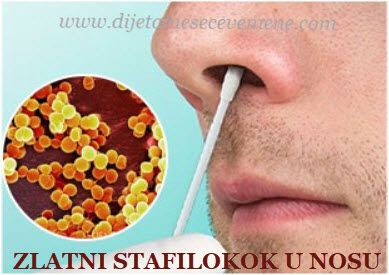 stafilokoka u nosu kod odraslih